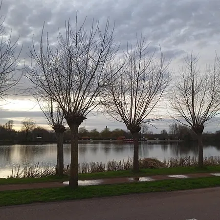 Le Chat Reveur * Ardres