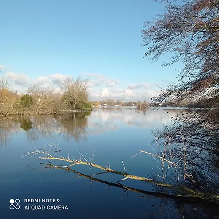 Le Chat Reveur Κάμπινγκ Ardres