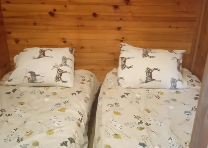 Camping Le Chat Reveur Ardres