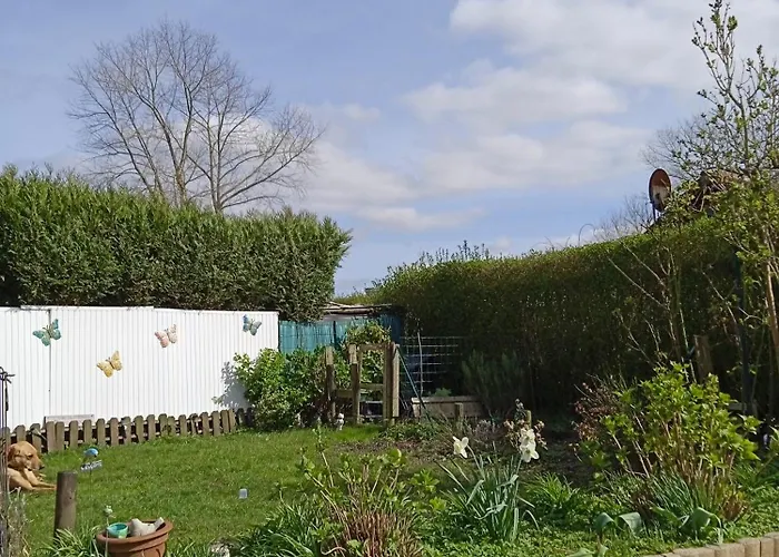 Le Chat Reveur *